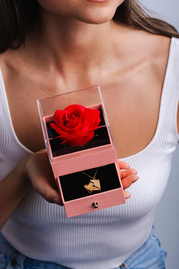 Love letter Gift_18k gold plated on 316Lstainless steel Trendy invisible necklace - Image 4