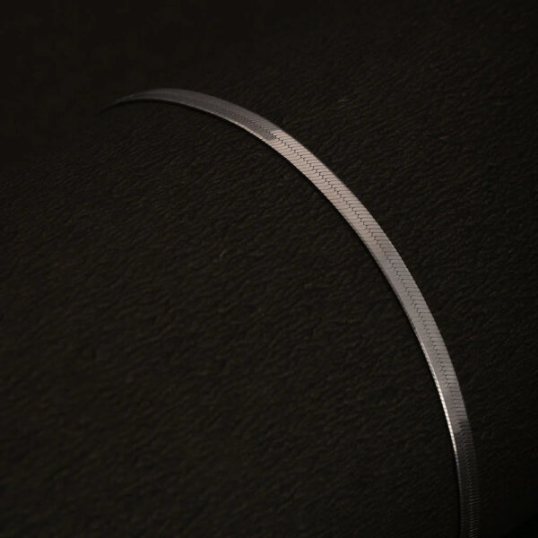 Anti Tarnish Titanium steel silver plated snake chain Anklet - Image 3