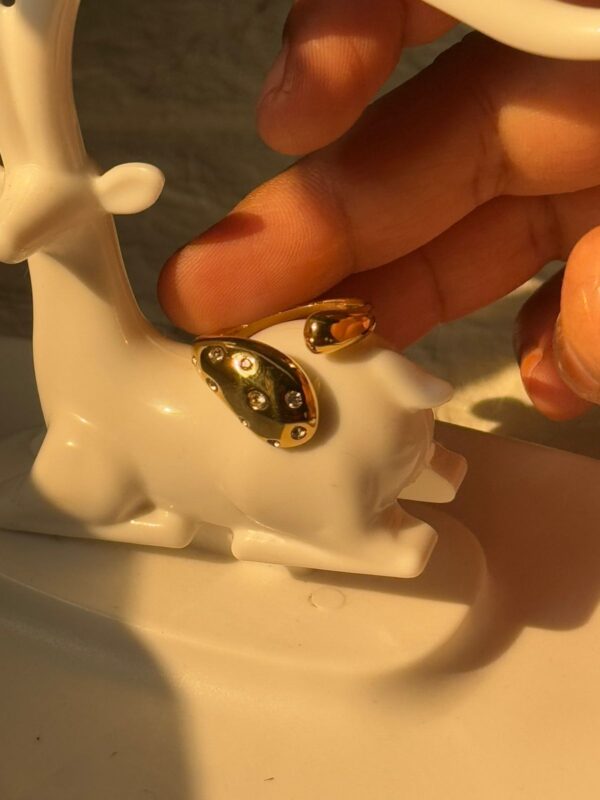 Stainless Steel 18k Gold Plated Edge stone Bold head ring waterproof - Image 2