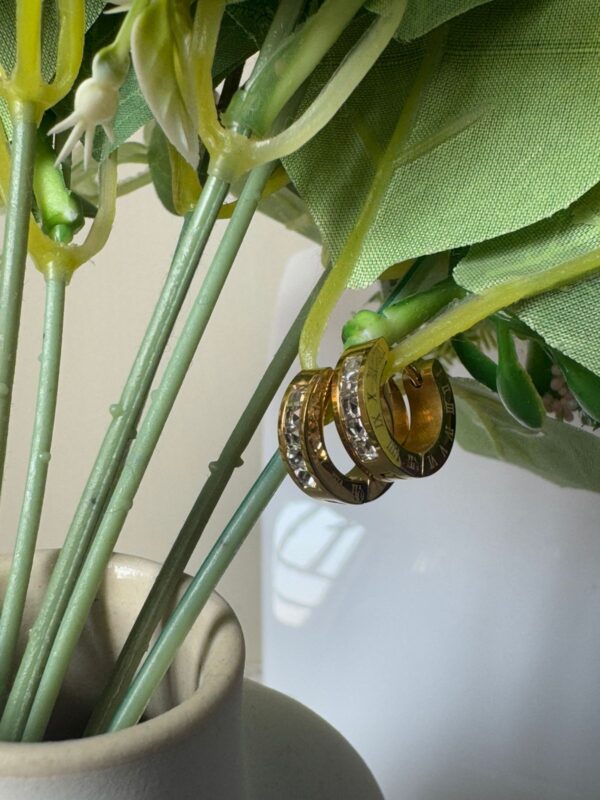 18k gold plated on Stainless steel Roman hoops Antitarnish