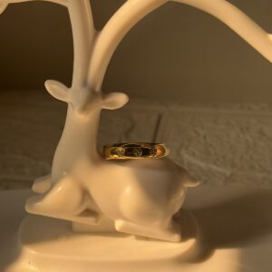 18k gold plated on stainless steel minimal ring waterproof(16)