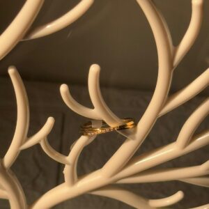 18k gold plated on stainless steel minimal ring waterproof(18)