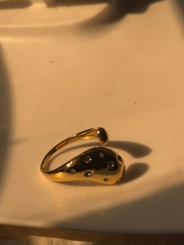 Stainless Steel 18k Gold Plated Edge stone Bold head ring waterproof - Image 3