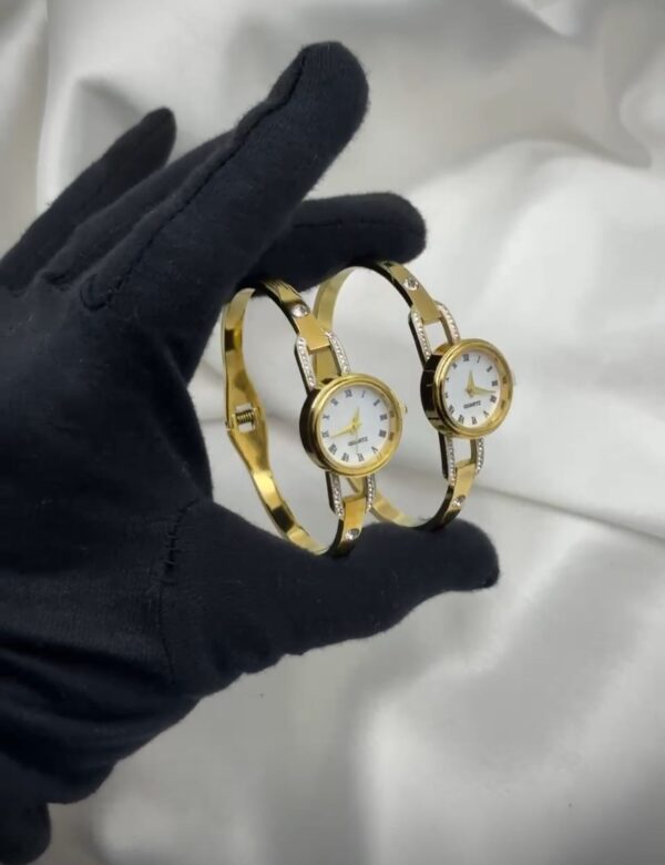 Antitarnish watch model 2